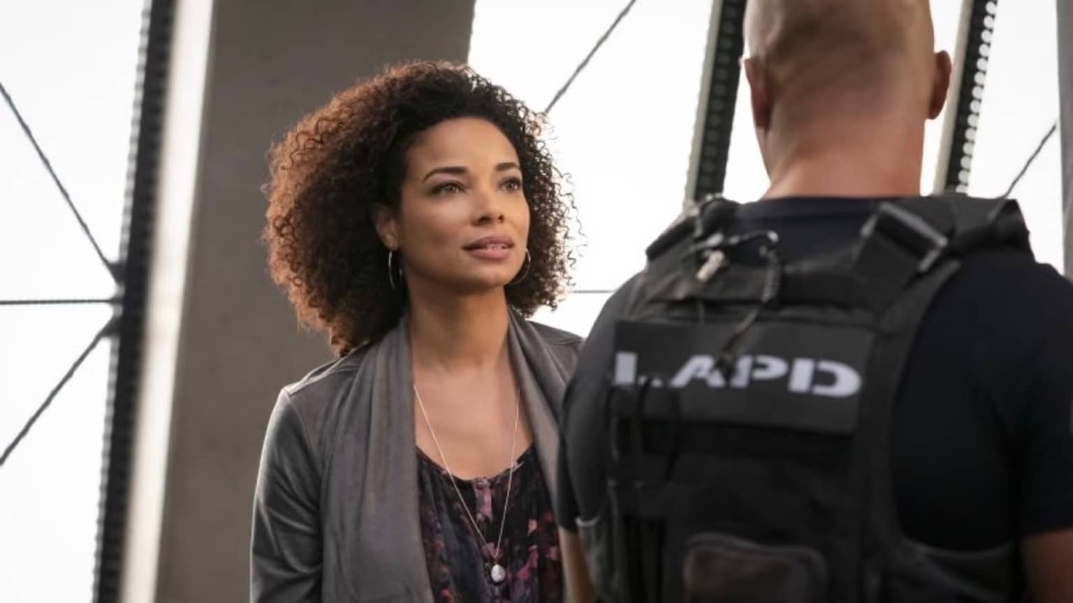 Nichelle-SWAT Casal favorito de S.W.A.T. pode nunca mais aparecer junto na série