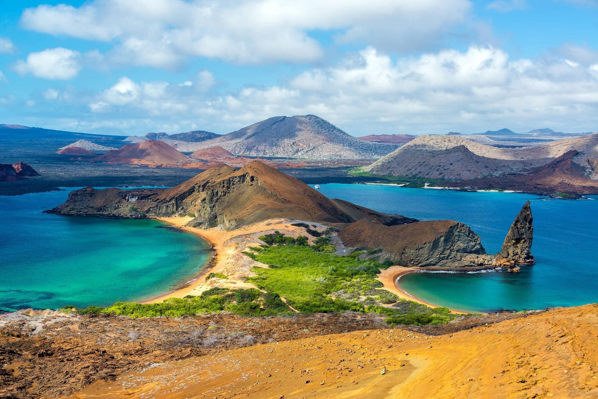 Galapagos Brendan Fraser apresenta "Leões-Marinhos de Galápagos", que chega ao Disney+ no Dia da Terra