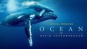 Ocean With David Attenborough