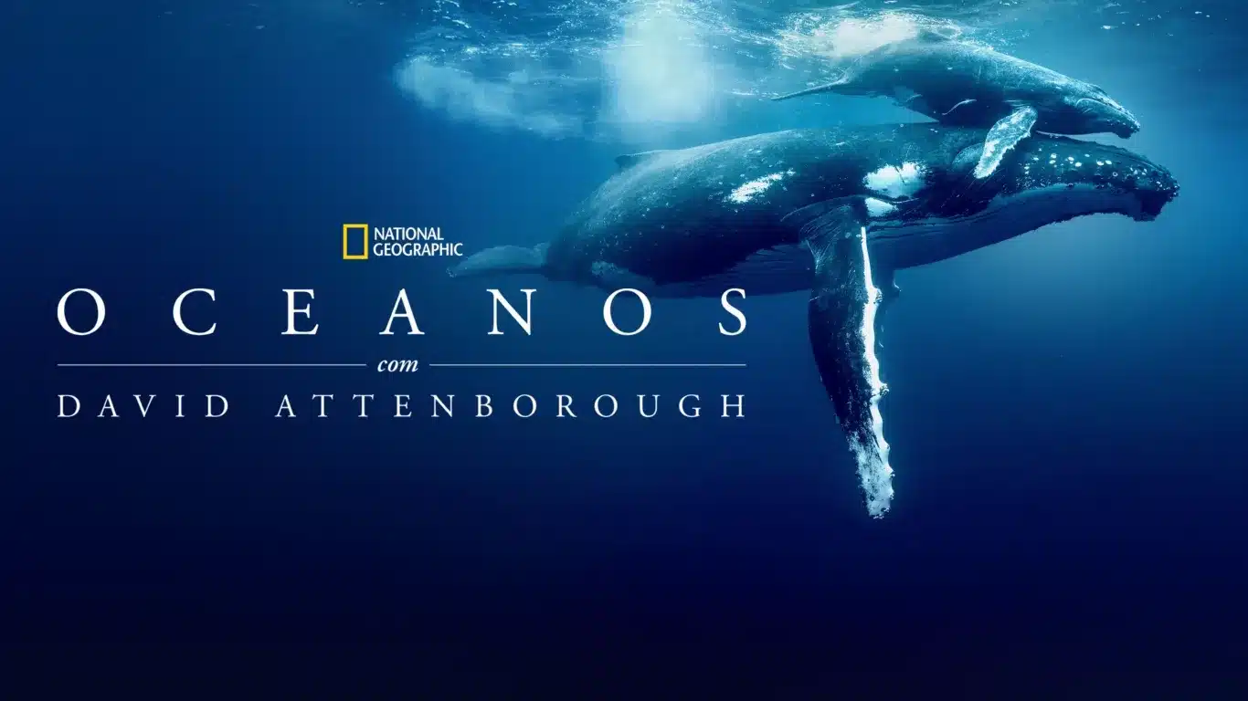 Novidades desta semana no Disney+ incluem novo filme de 'Predador' (02 a 08/06) Oceanos-com-David-Attenborough Novidades desta semana no Disney+ incluem novo filme de 'Predador' (02 a 08/06)