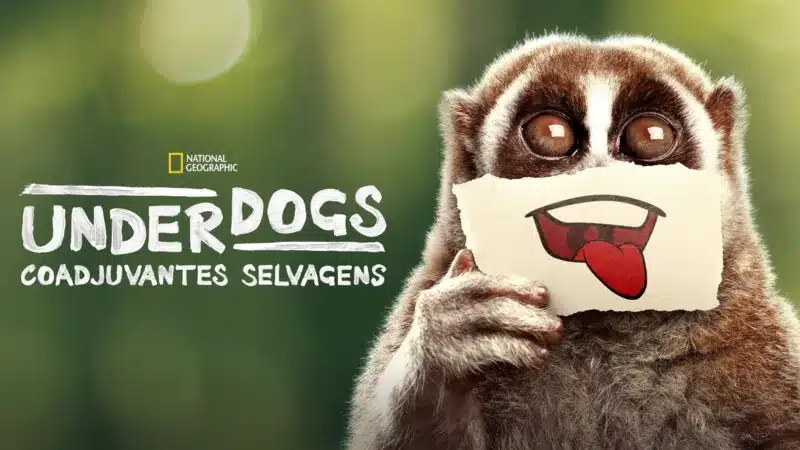 Frozen: O Musical e série de Ryan Reynolds lideram os lançamentos da semana no Disney+ (16 a 22/06) Underdogs Frozen: O Musical e série de Ryan Reynolds lideram os lançamentos da semana no Disney+ (16 a 22/06)