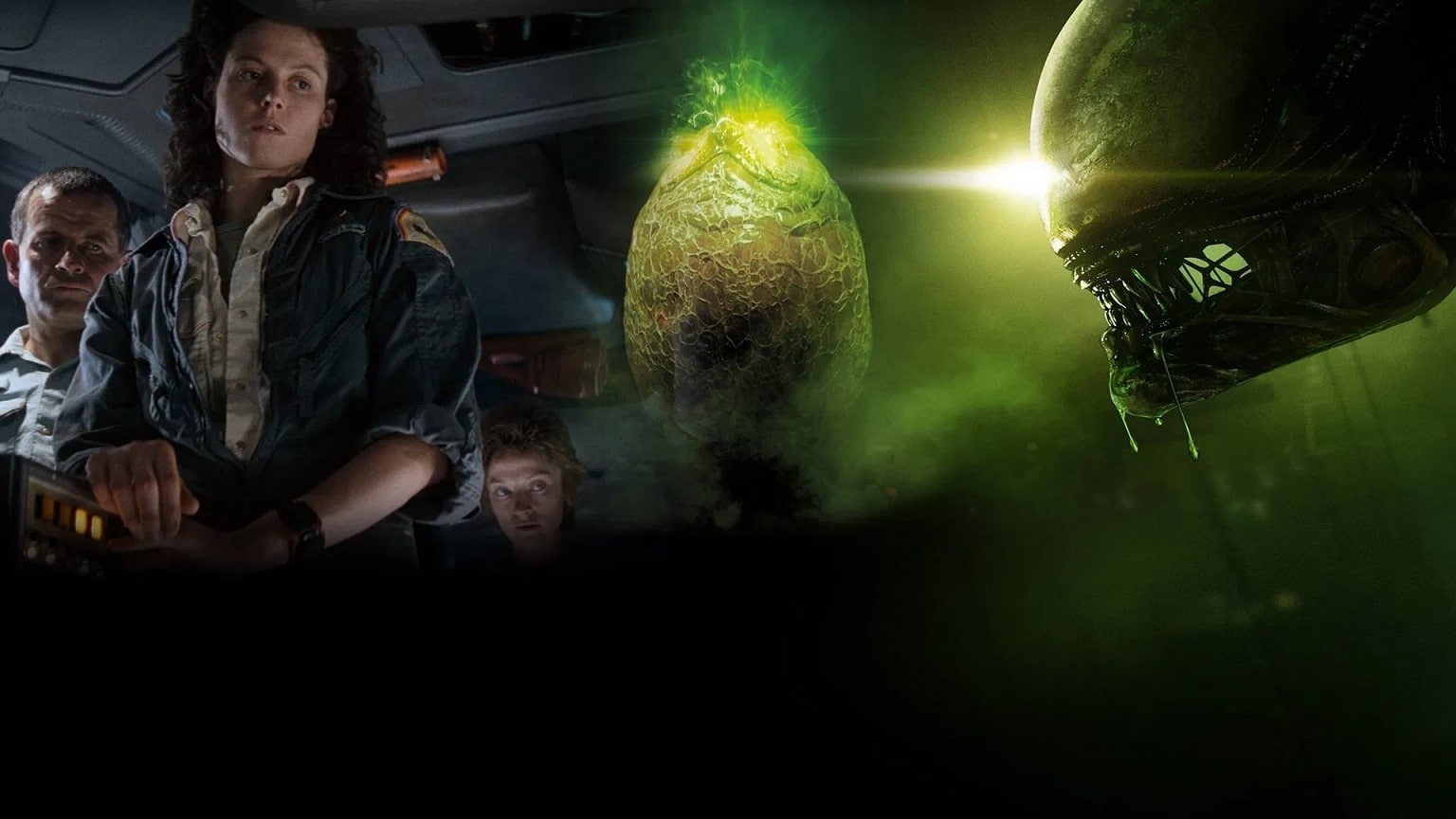 Alien-1979 O dia em que a frase mais famosa de Alien foi inventada sem querer