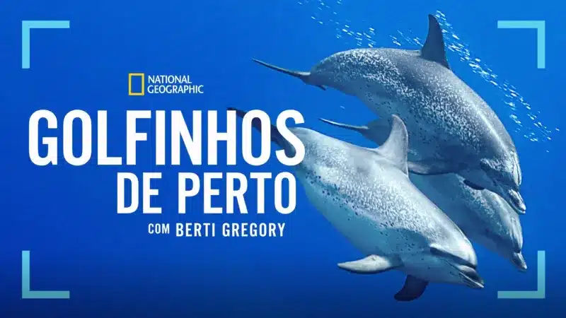 Tudo o que chega ao Disney+ nesta terceira semana de setembro (15 a 21/09) Golfinhos-de-Perto-com-Bertie-Gregory Tudo o que chega ao Disney+ nesta terceira semana de setembro (15 a 21/09)