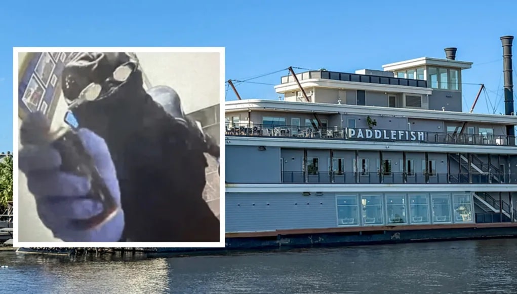 Paddlefish-Disney-Springs Assalto surreal: Mergulhador nada até restaurante do Disney Springs e rouba 20 mil dólares