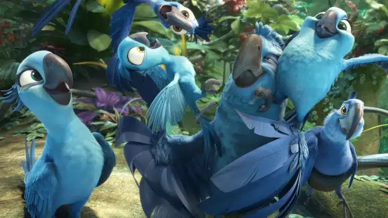 Rio-2 Rio: como um pinguim perdido no Brasil virou Blu, a arara mais famosa da animação