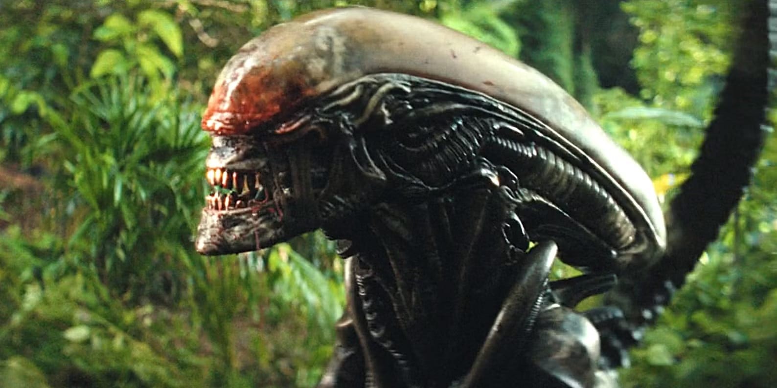Xenomorfo domesticado: Diretor explica decisão mais polêmica do episódio 7 de Alien: Earth Xenomorfo-a-luz-do-dia Xenomorfo domesticado: Diretor explica decisão mais polêmica do episódio 7 de Alien: Earth