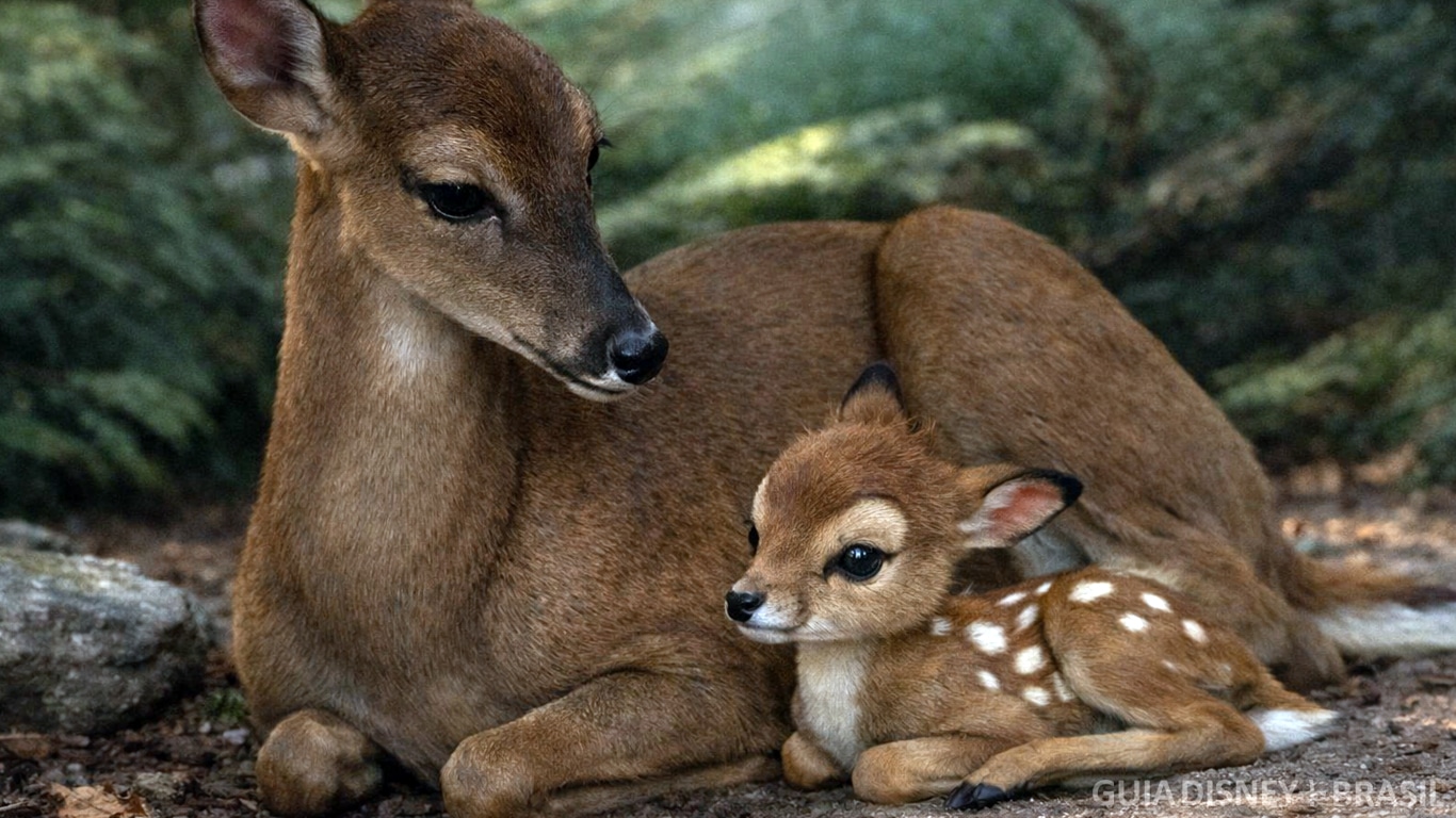 Bambi-live-action Live-action de Bambi está parado há anos, diz roteirista