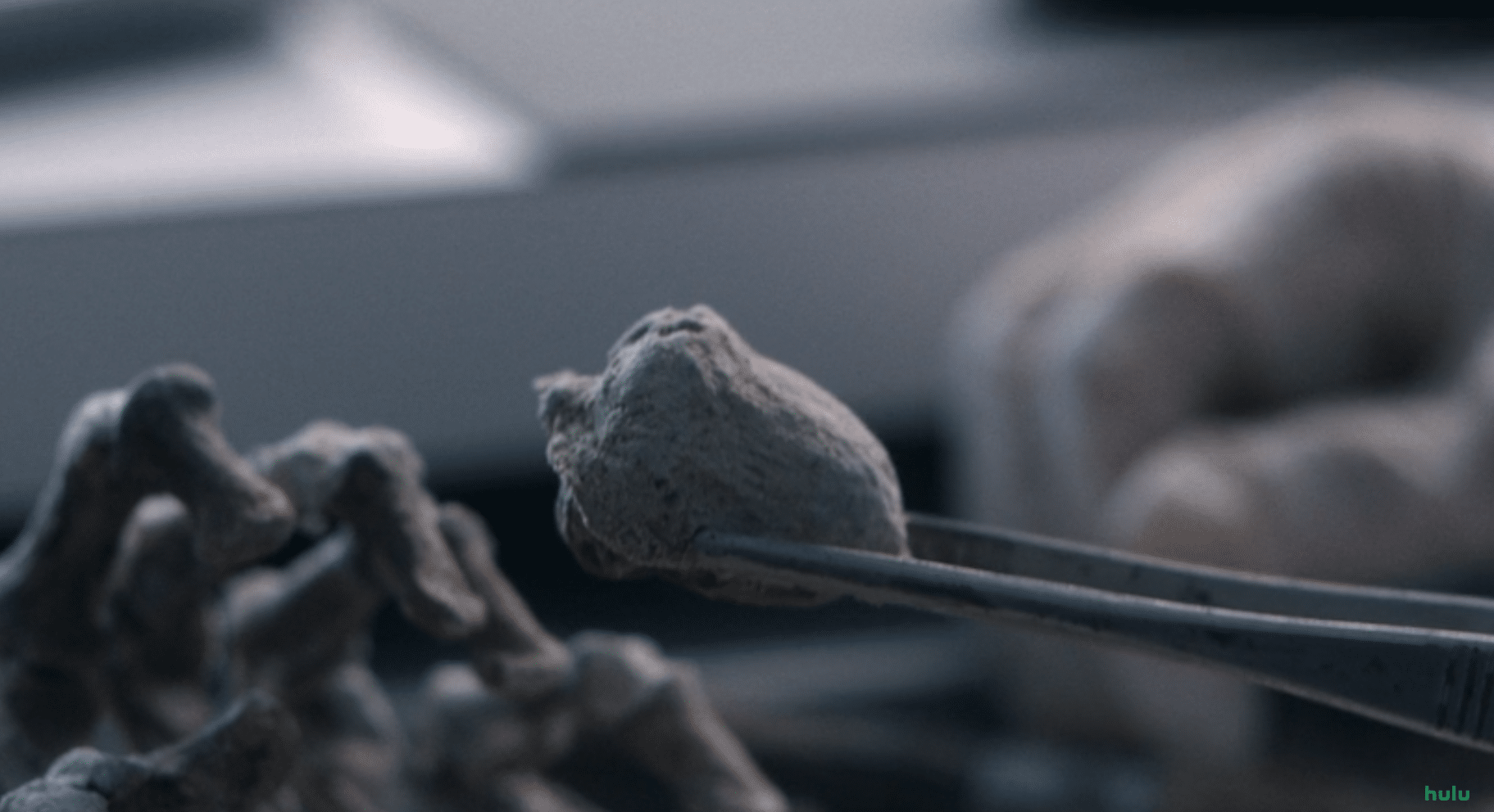 Final de 'Em um Piscar de Olhos' explicado: o que significa a bolota no filme? image-36 Final de 'Em um Piscar de Olhos' explicado: o que significa a bolota no filme?