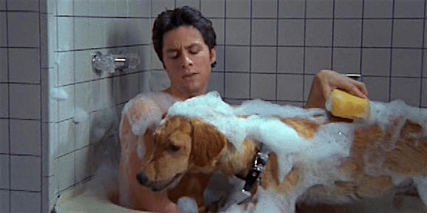 image-38 Criador de Scrubs explica por que a nova série é diferente de Ted Lasso e Falando a Real