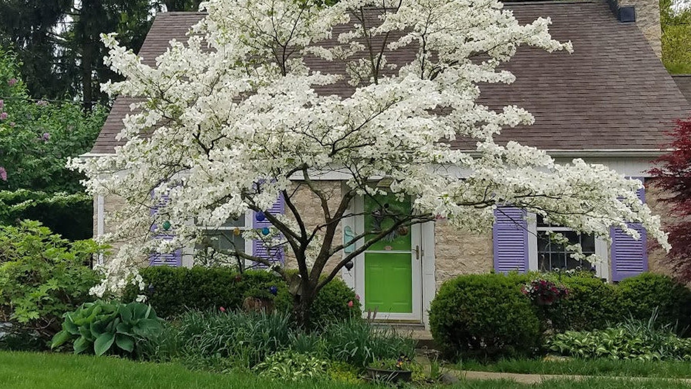 Dogwood The Dogwood: escritora de Two and a Half Men prepara comédia sobre divórcio