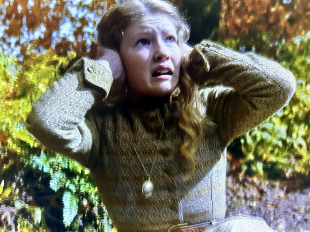 Fanny-Outlander Outlander surpreende com nova viajante do tempo em "Na Floresta"