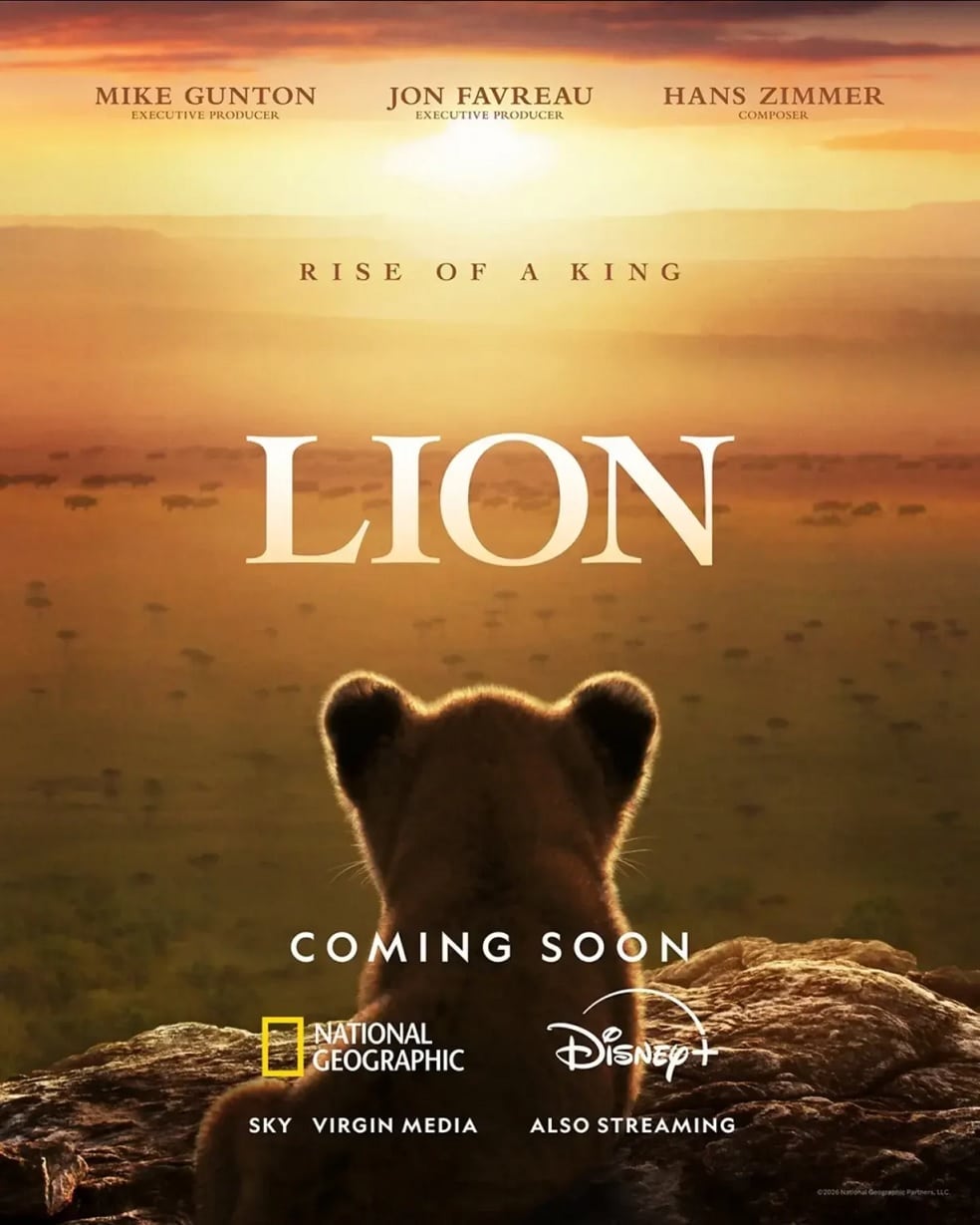 Poster-LION-Nationa-Geographic Lion: Disney prepara série documental com o verdadeiro Rei Leão