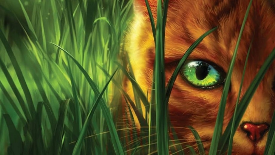 Série de 'Gatos Guerreiros' no Disney+ ganha suas primeiras imagens Gatos-Guerreiros-1 Série de 'Gatos Guerreiros' no Disney+ ganha suas primeiras imagens
