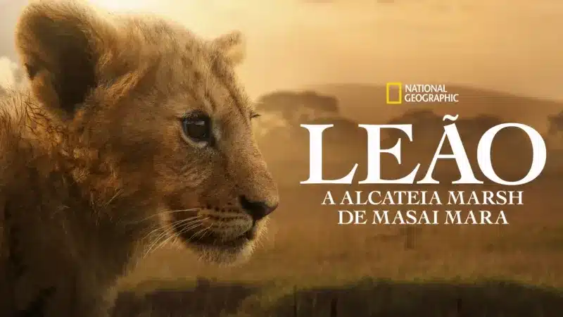 Leao-A-Alcateia-Marsh-de-Masai-Mara Disney+ recebe novos episódios de 5 séries e confirma lançamento de LION